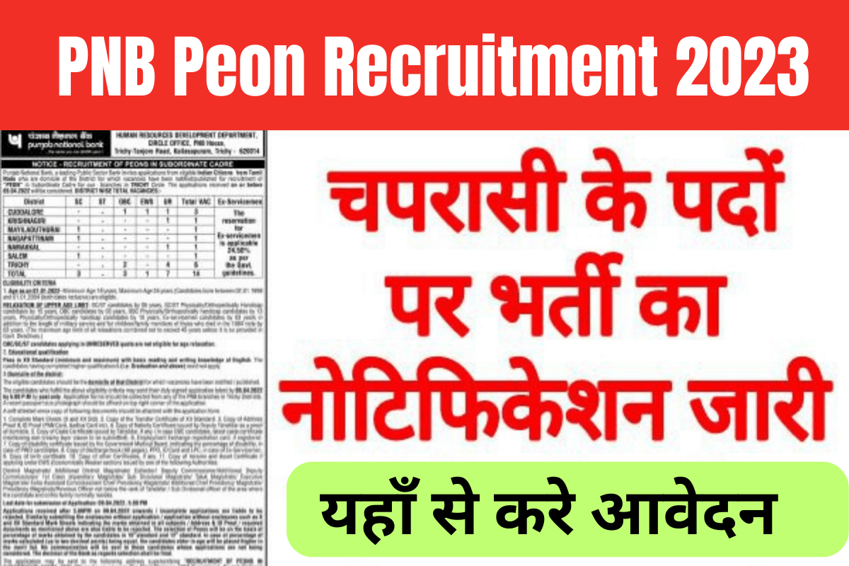 PNB Peon Recruitment 2023 : पंजाब नेशनल बैंक के तरफ से 8,000 से भी ज्यादा चपरासी के पदों पर भर्ती शुरू,यहाँ से करे आवेदन
