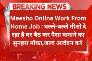 Meesho Online Work From Home Job 