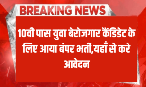 BPNL New Vacancy 2024