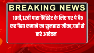 Zomato Work From Home Vacancy 2025