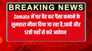 Zomato Work From Home Vacancy 2025